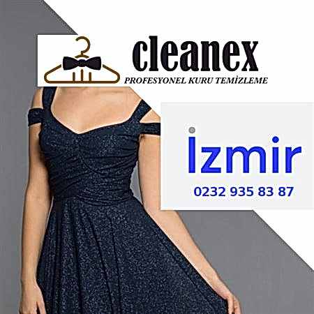 Kadın Elbise Temizleme